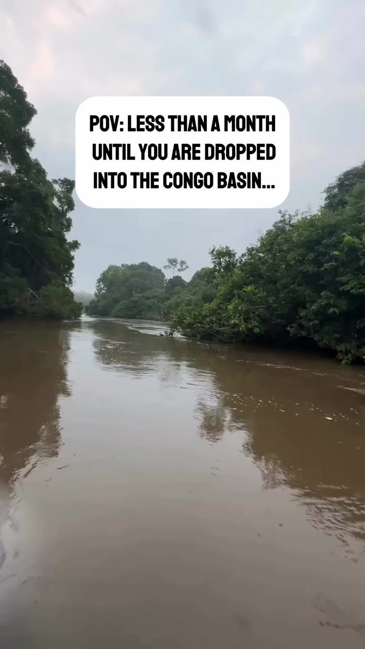 Still from Ash Dykes&rsquo;s TikTok about the 400-mile journey down the Sangha river