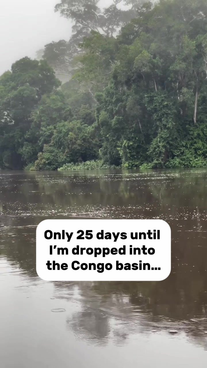 Still from Ash Dykes&rsquo;s TikTok: a wide brown river running through dense rainforest