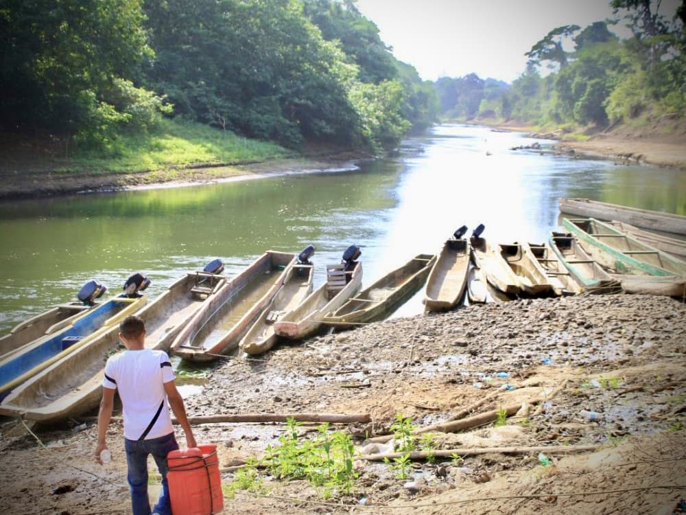 a person approaching a fleet of dugout canoes with outboard motors on a jungle river landing