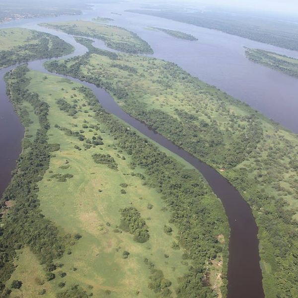 aerial view of a broad river system with multiple green vegetated islands and channels