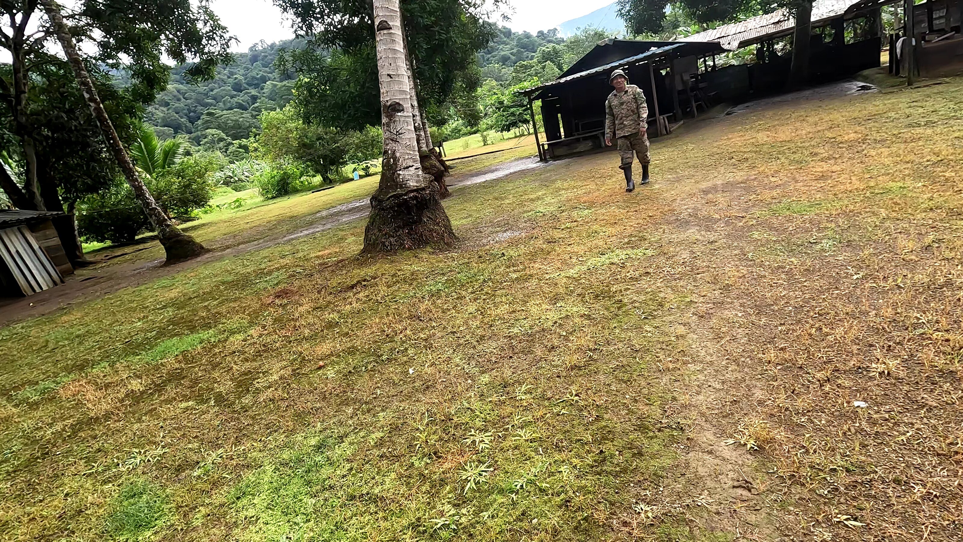 a person in camouflage gear walking across a grassy clearing with palm trees, a dark open-sided shelter, and dense forested hills in the background