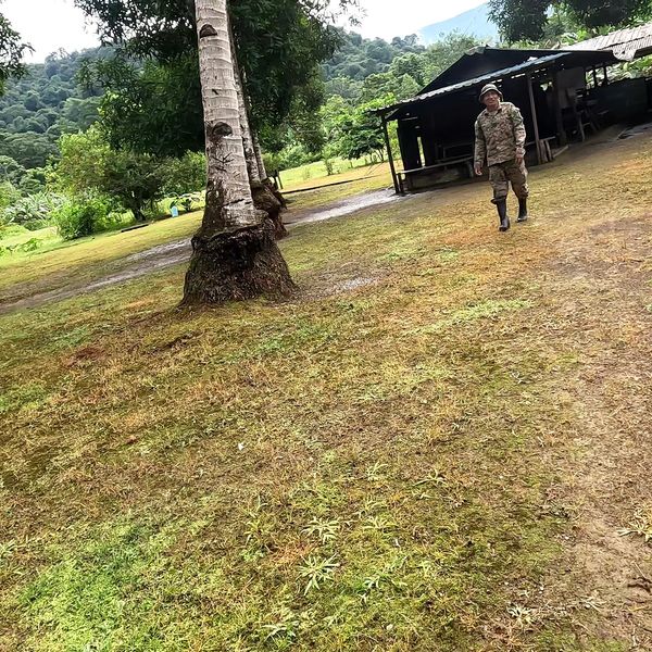 a person in camouflage gear walking across a grassy clearing with palm trees, a dark open-sided shelter, and dense forested hills in the background