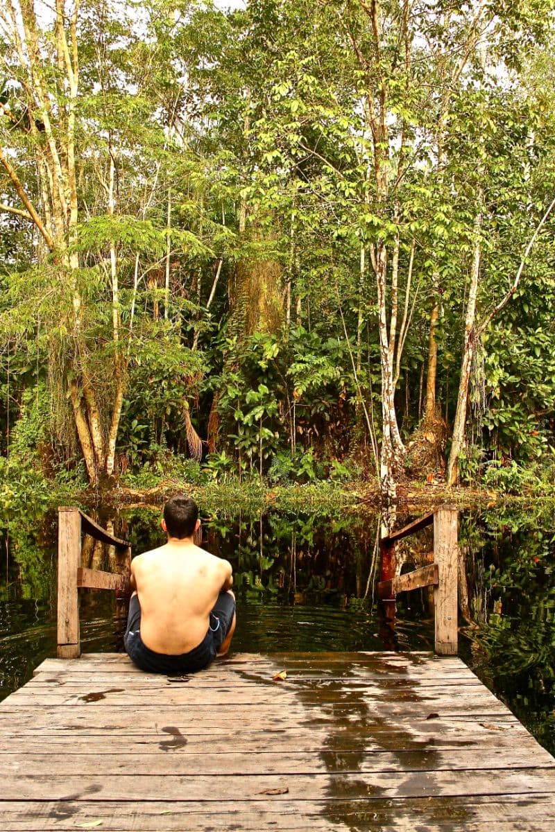 a person seated on a rustic wooden jetty facing a still jungle waterway surrounded by dense tropical trees