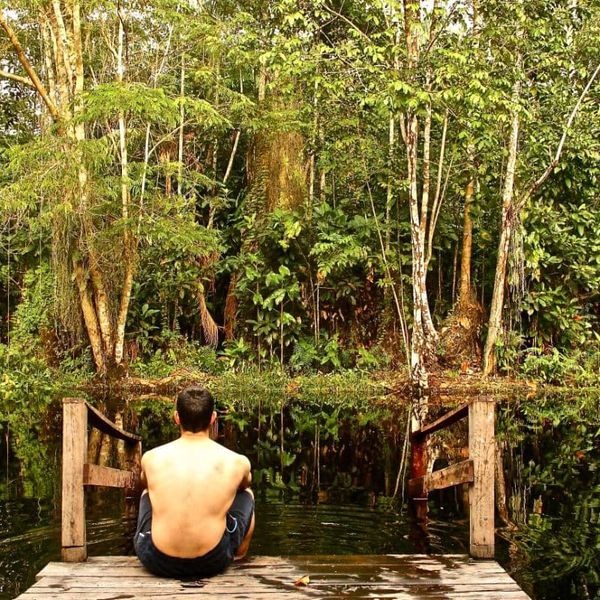 a person seated on a rustic wooden jetty facing a still jungle waterway surrounded by dense tropical trees