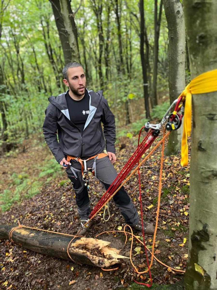 an arborist in a harness working a rope and pulley rigging system around a tree trunk, with a felled log on the woodland floor