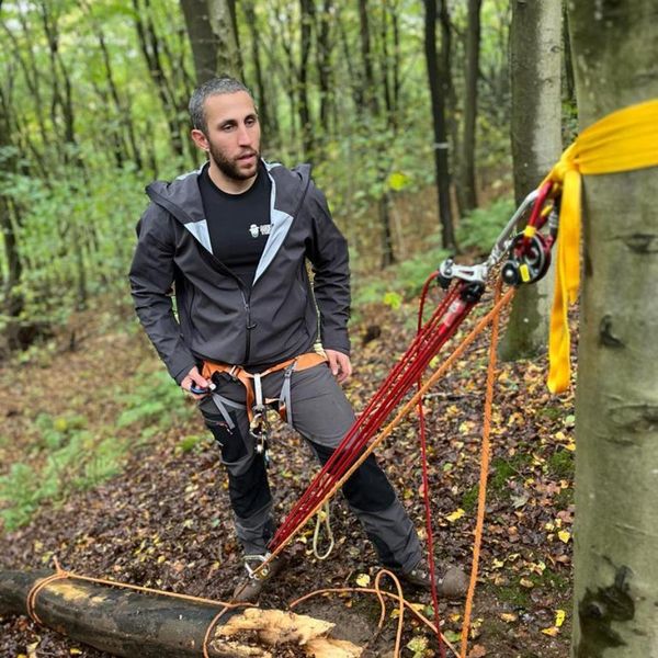 an arborist in a harness working a rope and pulley rigging system around a tree trunk, with a felled log on the woodland floor