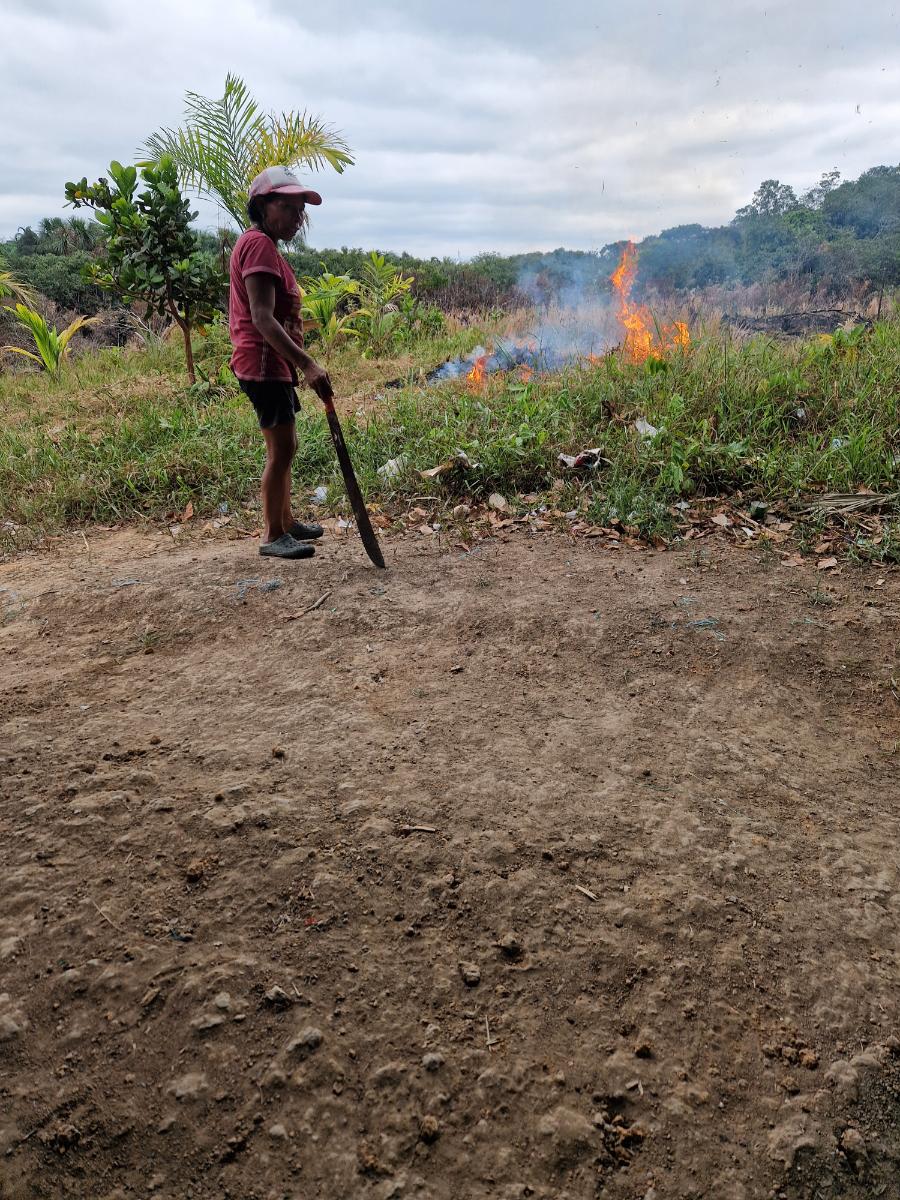 a worker with a machete overseeing a controlled land burn on cleared ground