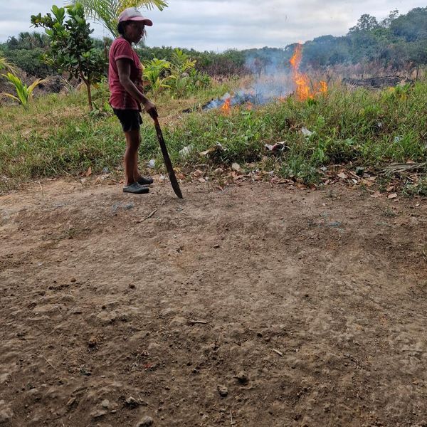 a worker with a machete overseeing a controlled land burn on cleared ground