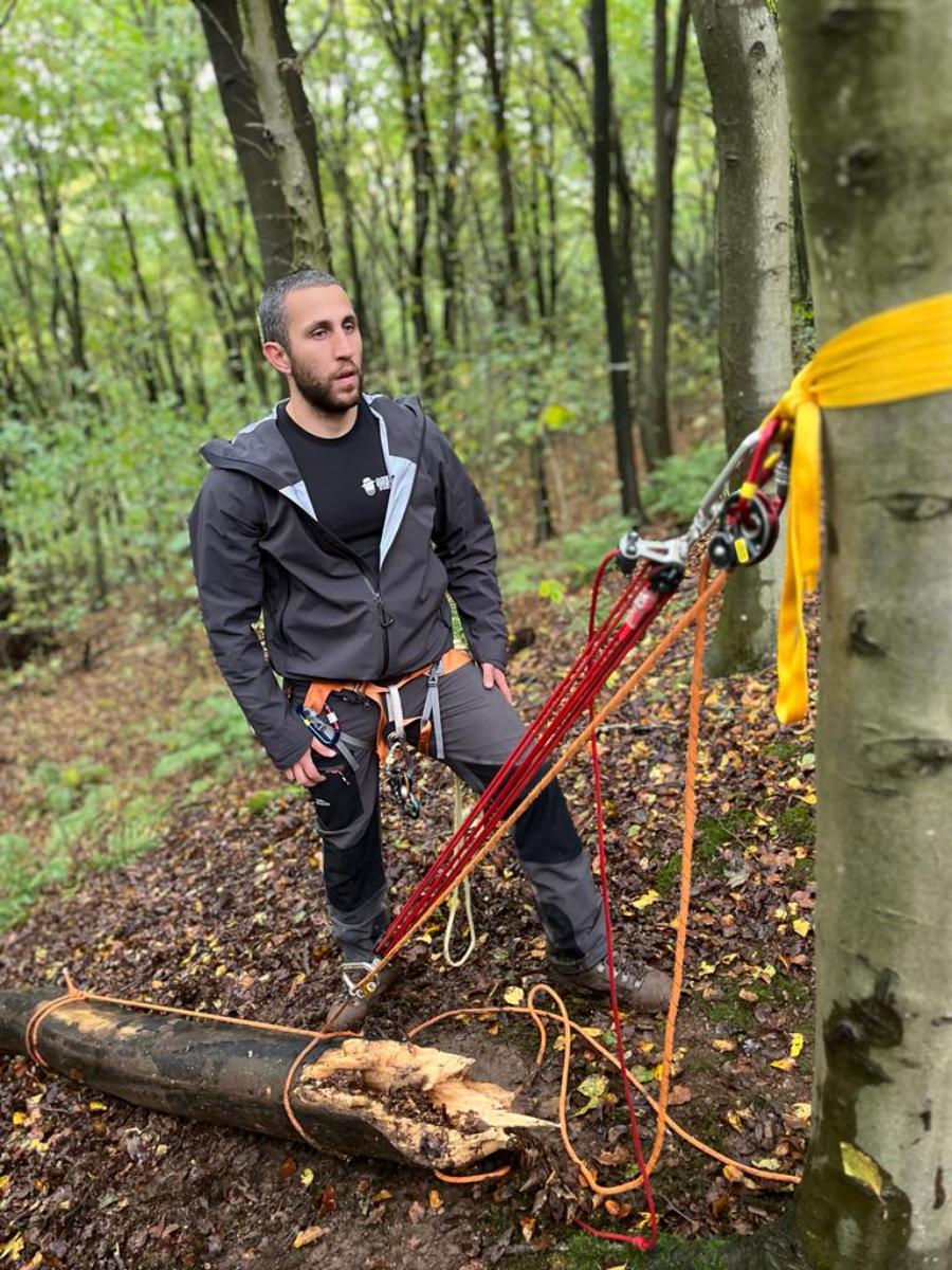 arborist with climbing harness and rigging equipment in woodland