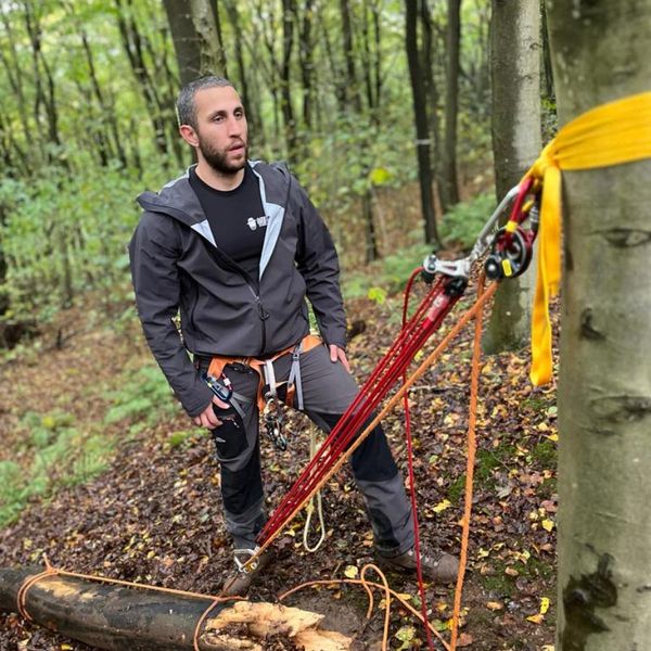 arborist with climbing harness and rigging equipment in woodland