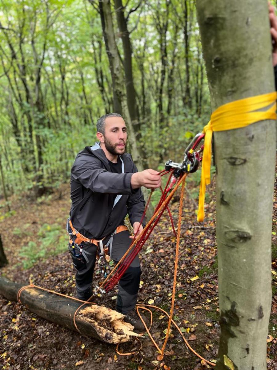 an arborist in a safety harness rigging ropes and carabiners to a tree in a woodland