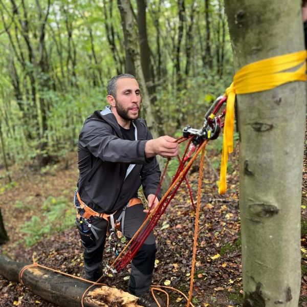 an arborist in a safety harness rigging ropes and carabiners to a tree in a woodland